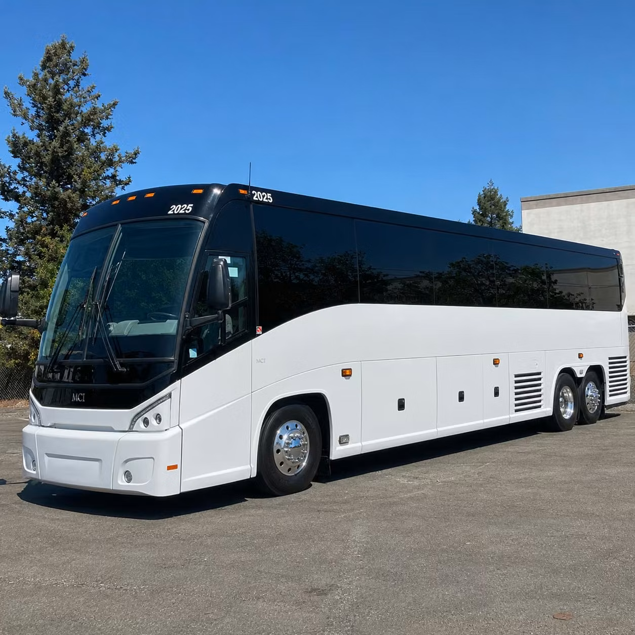 youth group and mission trip bus rentals across palm beach county